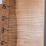 Musical Billet Curly Maple