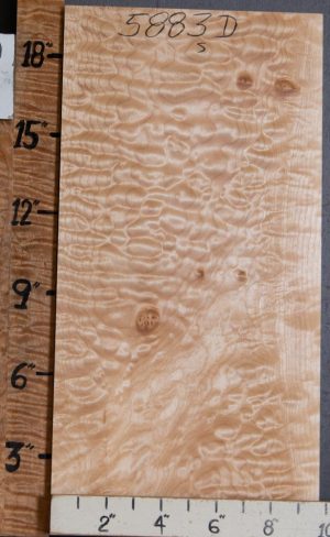 Musical Billet Quilted Maple