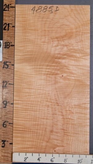 Musical Billet Curly Maple