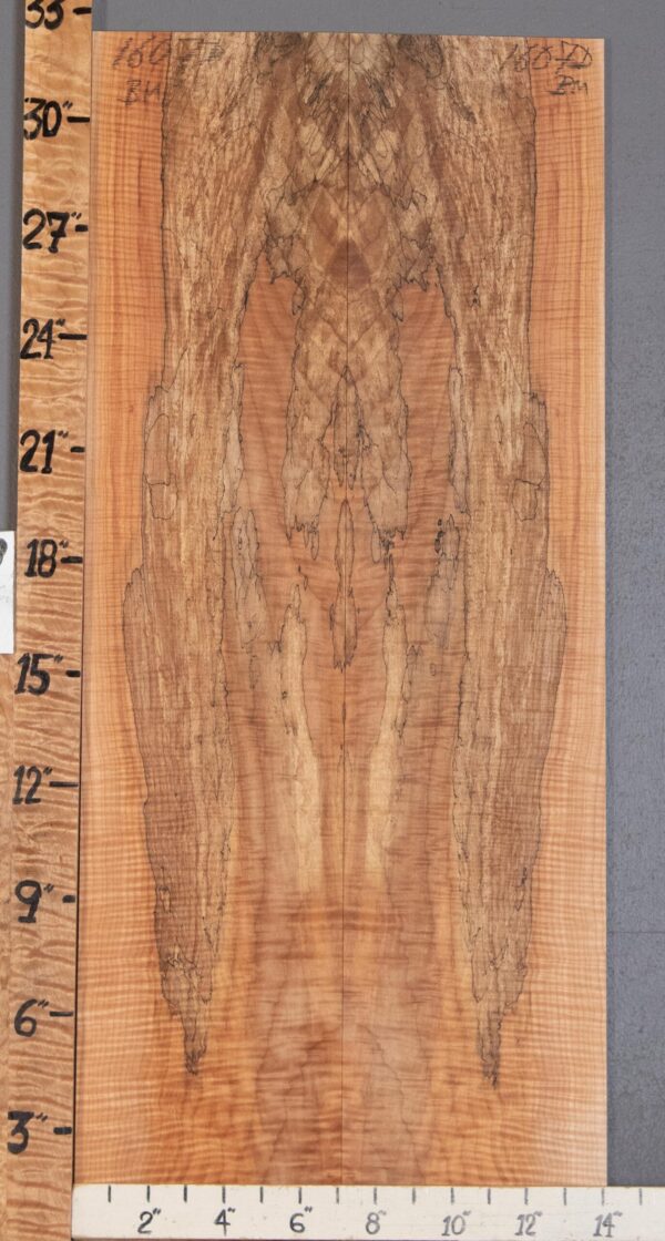 Musical Microlumber Spalted Maple Bookmatch Lumber 14" X 32" X 1/4" (NWT-1607D)