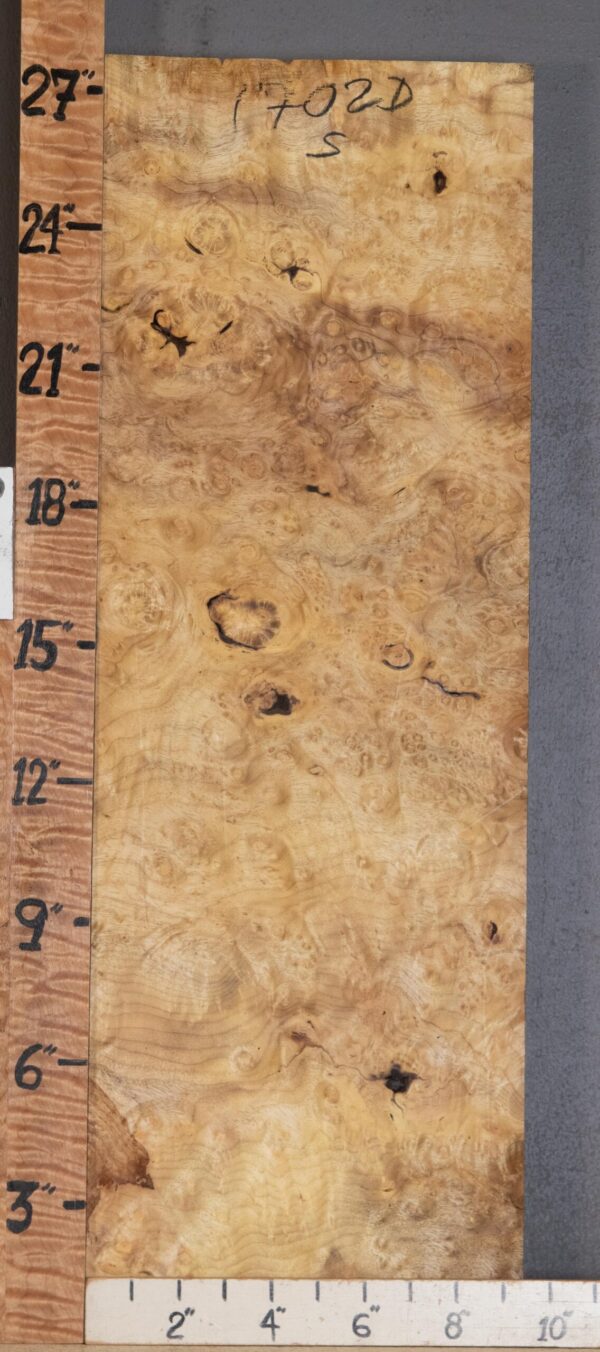 Musical Billet Curly Burl Myrtlewood Lumber 9"3/8 X 27" X 1"3/4 (NWT-1702D) - Image 2