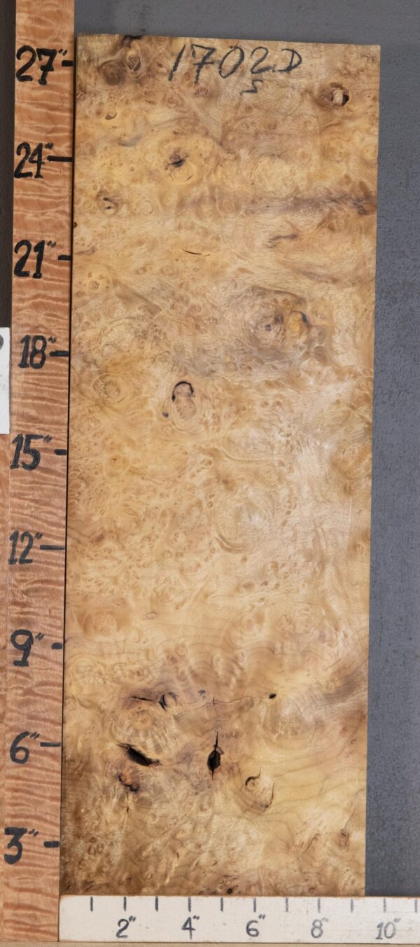 Musical Billet Curly Burl Myrtlewood Lumber 9"3/8 X 27" X 1"3/4 (NWT-1702D)