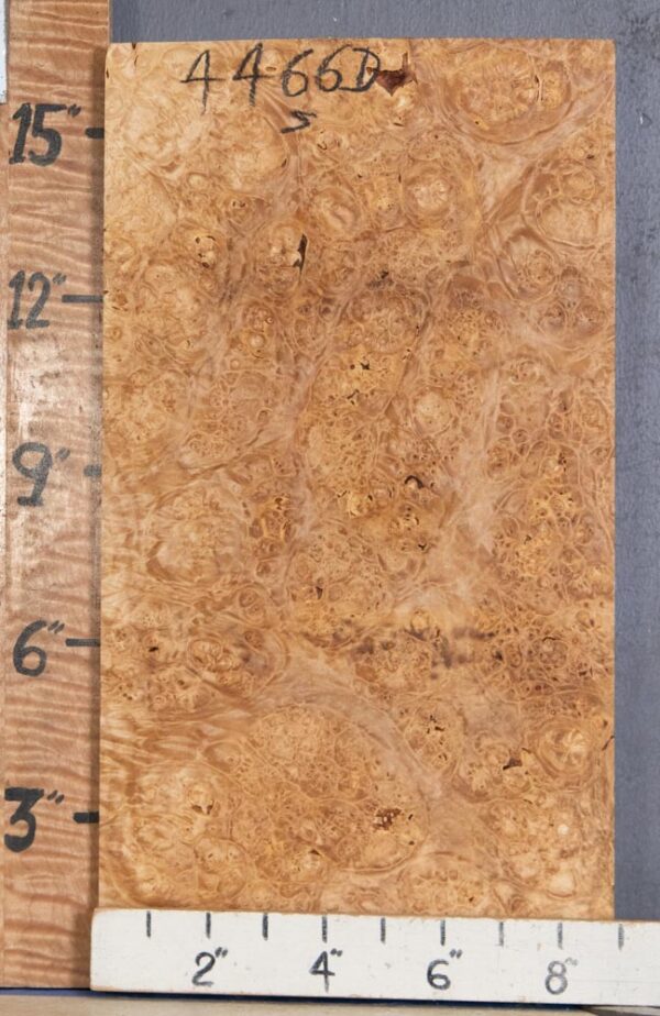 Musical Billet Burl Maple