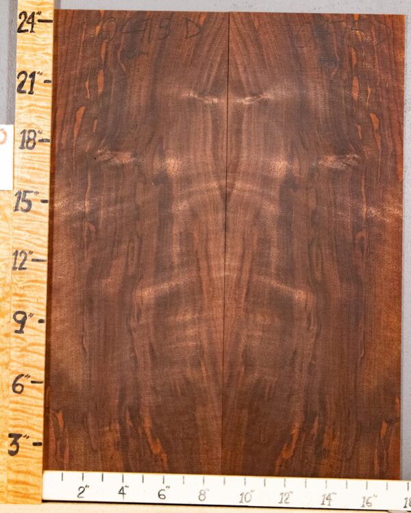 Musical Microlumber Marbled Claro Walnut Bookmatch 17"1/2 X 24" X 1/8" (NWT-0475D)