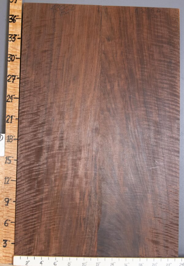 Musical Curly Claro Walnut