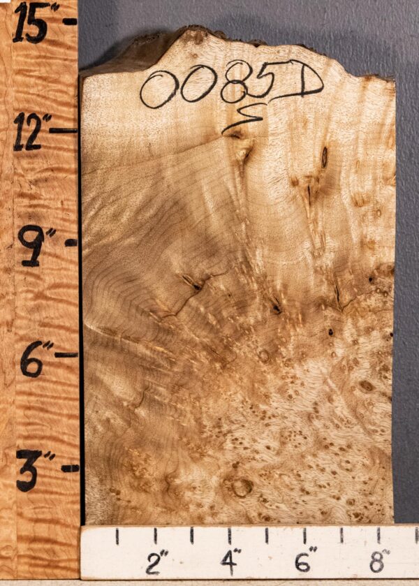 5A Block Burl Myrtlewood with Live Edge 8"1/4 X 14" X 2"1/4 (NWT-0085D)