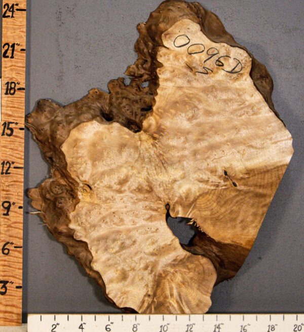 5A Burl Myrtlewood with Live Edge 19" X 24" X 1"3/4 (NWT-0096D) - Image 2