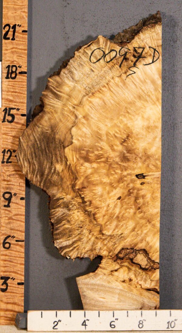 5A Burl Myrtlewood with Live Edge 9" X 22" X 1"7/8 (NWT-0097D)