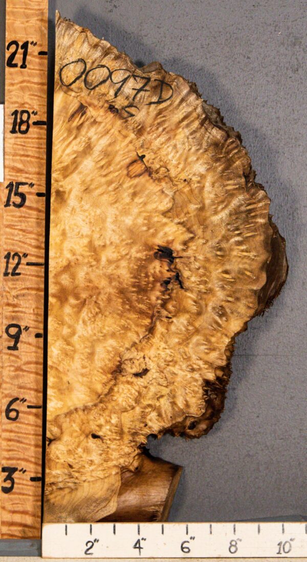 5A Burl Myrtlewood with Live Edge 9" X 22" X 1"7/8 (NWT-0097D) - Image 2