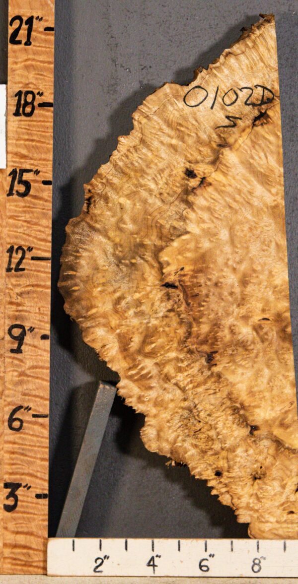 5A Burl Myrtlewood with Live Edge 8" X 20" X 2"1/8 (NWT-0102D) - Image 2