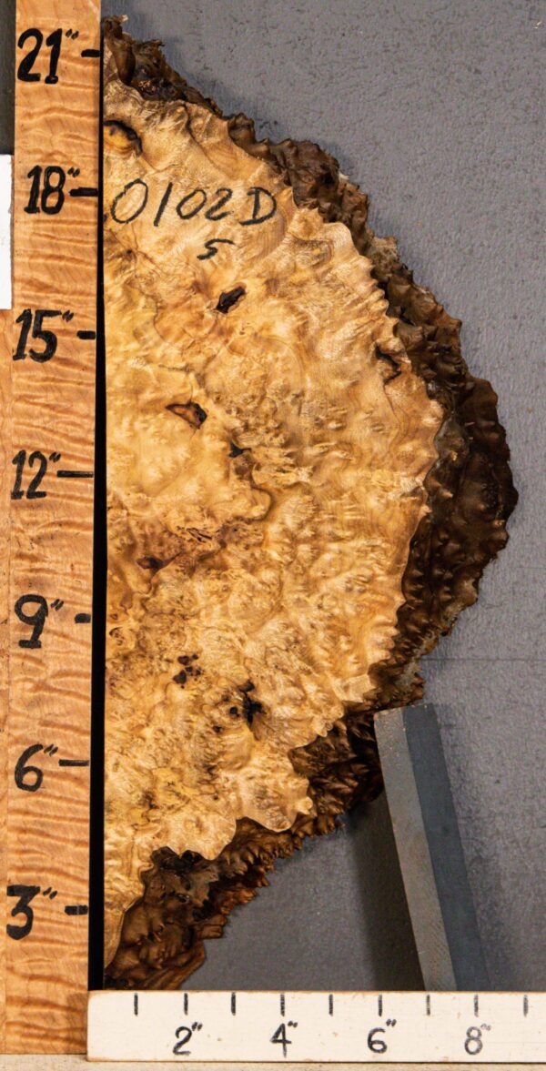 5A Burl Myrtlewood with Live Edge 8" X 20" X 2"1/8 (NWT-0102D)