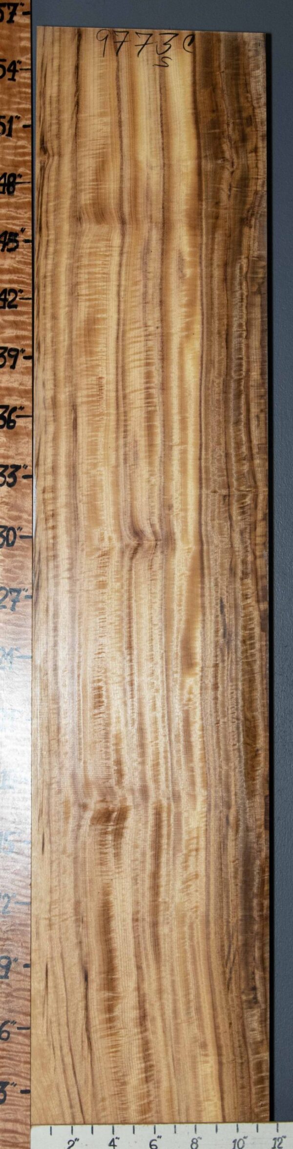 Musical Curly Myrtlewood Vertical Grain 11"1/2 X 55" X 2" (NWT-9773C)