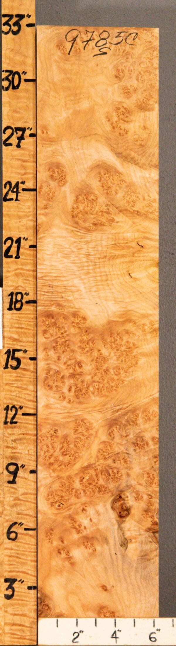 5A Block Burl Maple 6"1/4 X 32" X 3" (NWT-9785C)