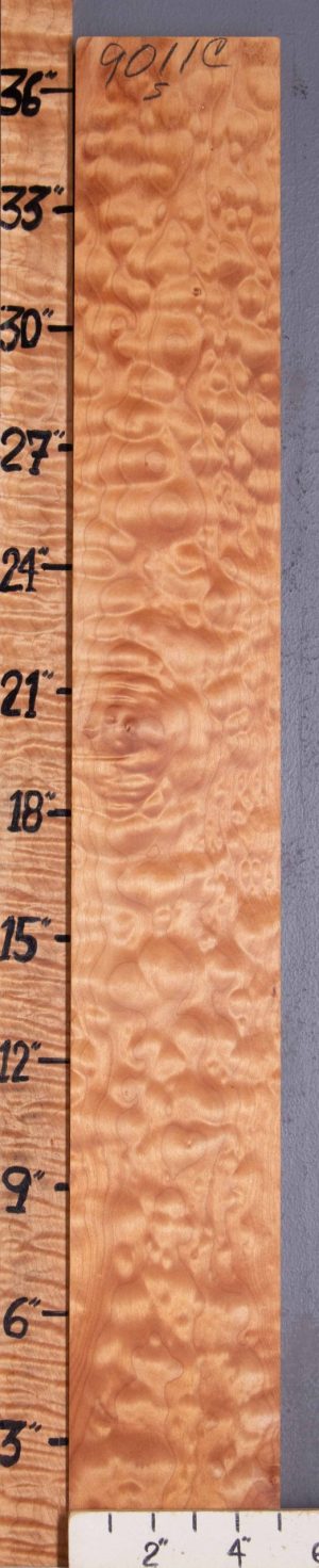 Musical Quilted Maple Lumber 5" X 37" X 4/4 (NWT-9011C)