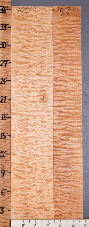 Musical Quilted Maple Lumber 2 Board Set 11"1/4 X 36" X 4/4 (NWT-9017C)
