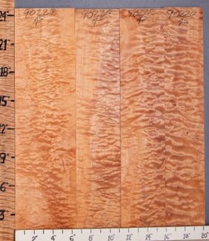 Musical Quilted Maple Lumber 4 Board Set 20"1/4 X 24" X 4/4 (NWT-9022C)