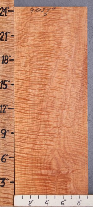 Musical Quilted Maple Lumber 9" X 24" X 4/4 (NWT-9039C)