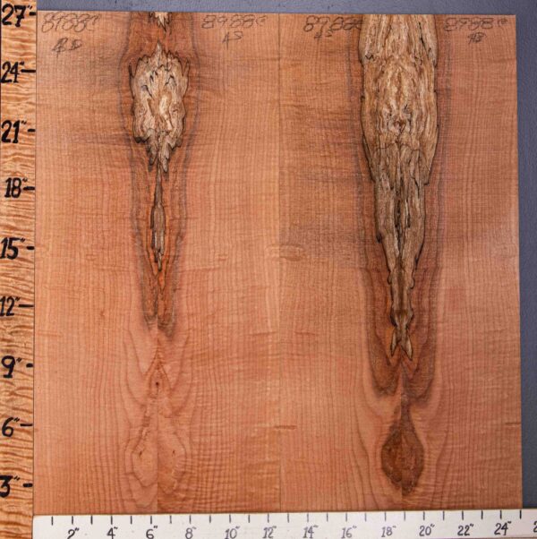 5A Spalted Curly Maple Bookmatch Microlumber 4 Board Set 25"1/4 X 27" X 1/4 (NWT-8988C)