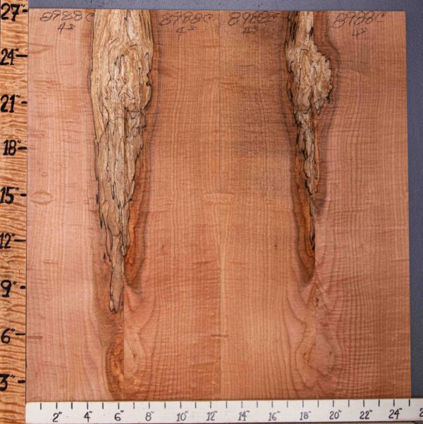 5A Spalted Curly Maple Bookmatch Microlumber 4 Board Set 25"1/4 X 27" X 1/4 (NWT-8988C) - Image 2