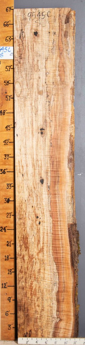 Musical Spalted Curly Maple Lumber 12"1/2 X 69" X 2"5/8 (NWT-9545C)