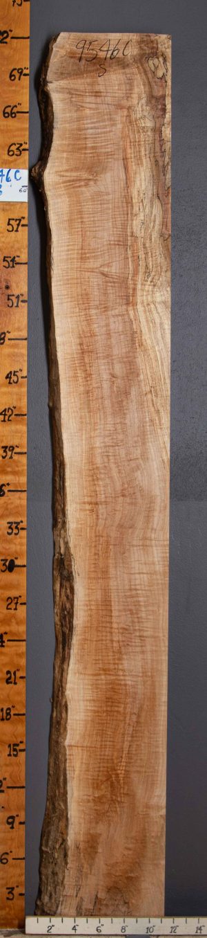 Musical Spalted Curly Maple Lumber 10" X 72" X 2"1/8 (NWT-9546C)