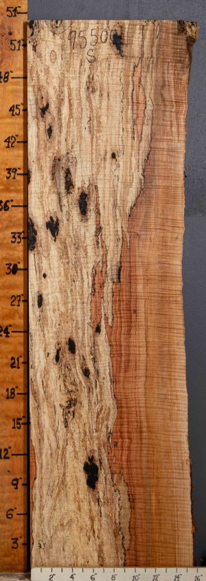 Musical Spalted Curly Maple Lumber 15"1/2 X 53" X 2"1/2 (NWT-9550C)
