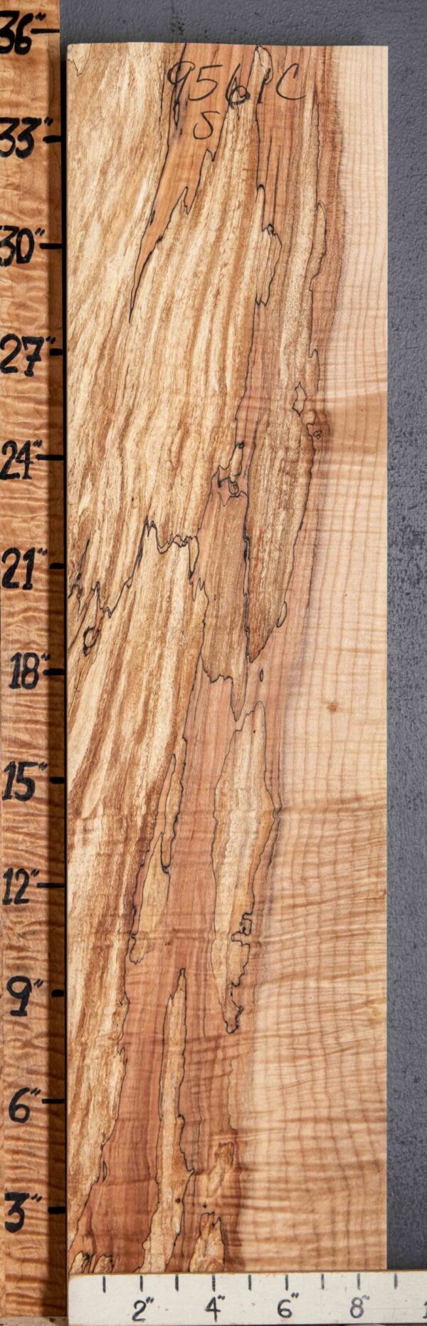 Musical Spalted Curly Maple 8"3/4 X 35" X 2"3/8 (NWT-9561C)