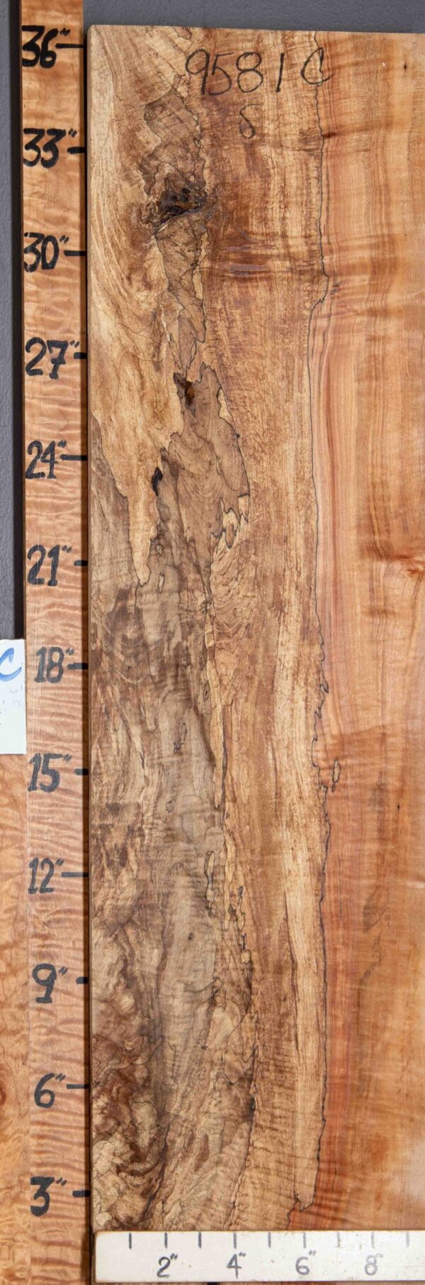 5A Spalted Curly Maple 9"3/4 X 36" X 1"1/4 (NWT-9581C)