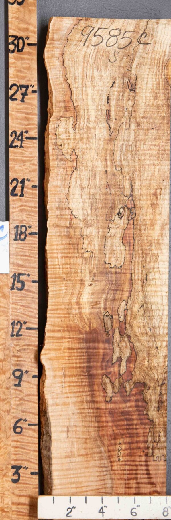 5A Spalted Curly Maple 8" X 30" X 1"7/8" (NWT-9585C)