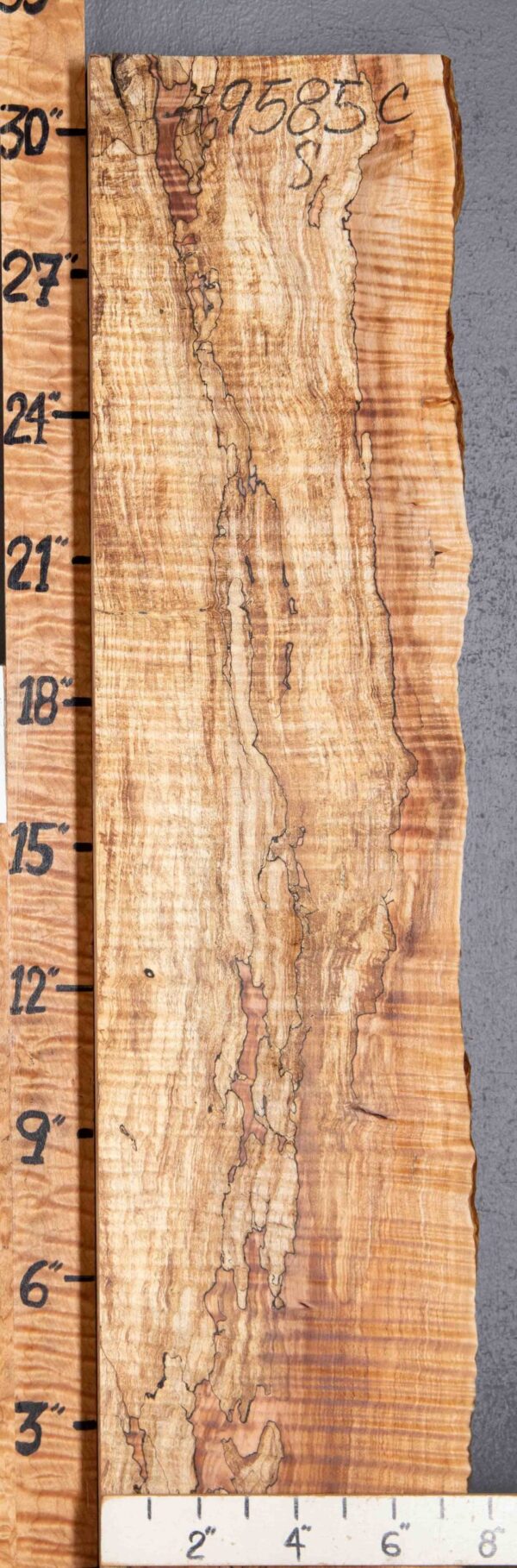 5A Spalted Curly Maple 8" X 30" X 1"7/8" (NWT-9585C) - Image 2